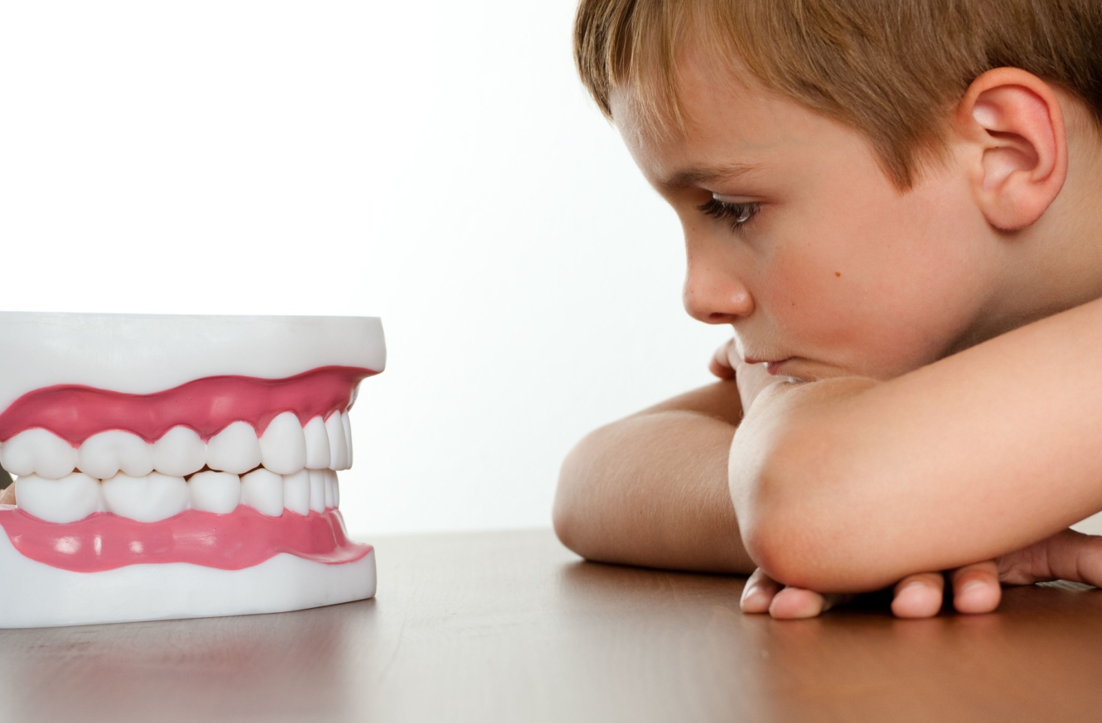 A young boy with his head laying on his arms on a table, staring thoughtfully at a large model of teeth that look like dentures.