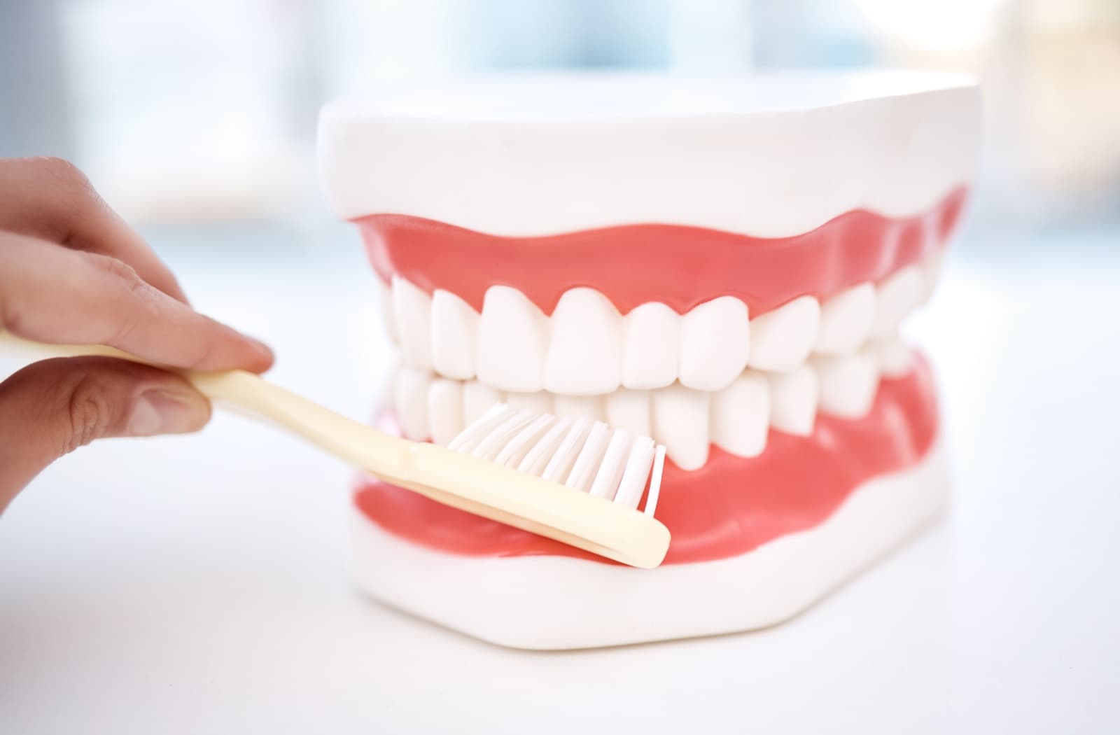 Demonstration of how to clean dentures with a soft-bristled brush for proper care.